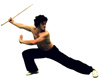Bild eines Kung-Fu-Kämpfers