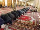 Bild von Moslems beim Gebet