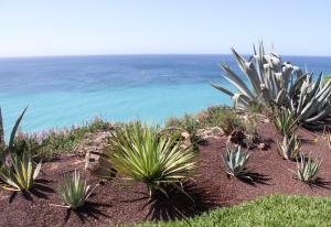 Blick vom Robinson Club Esquinzo