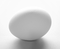 Bild von einem Ei