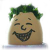 Bild eines lachenden Eierkopfes in der Rubrik Witze - Kurz-Witze