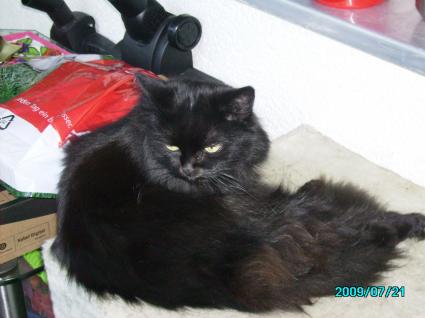 Bonnie (von Silversurfer) Bonnie (von Silversurfer)