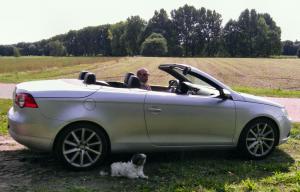 auf in dem sommer