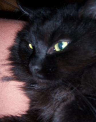 Moritz  (von ingelein )