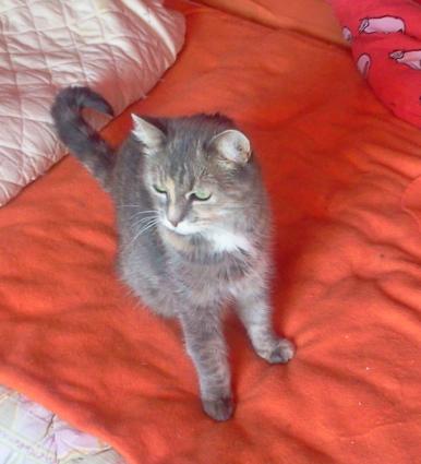 Rosemary  (von ingelein )