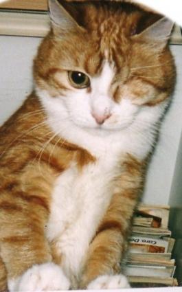 Fridolin (von ingelein )